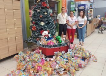 Fundo Social de Solidariedade de Ilha Solteira recebe brinquedos da campanha Árvore Solidária