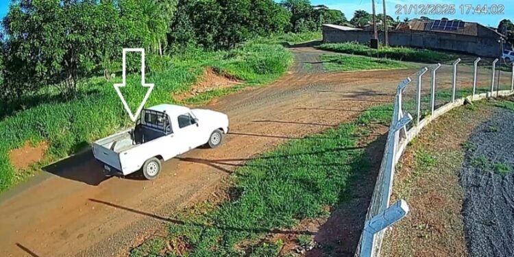 Câmeras de monitoramento flagram descarte irregular de resíduos próximo ao Ecoponto Urbano