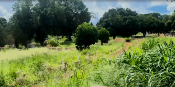 Cemitério com mato alto e aparência de abandono em cidade do interior de São Paulo